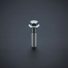 Hex Flange Bolt