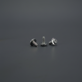 pan-flange-head-thread-rolling-screws-in